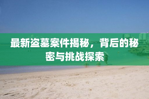 最新盗墓案件揭秘，背后的秘密与挑战探索