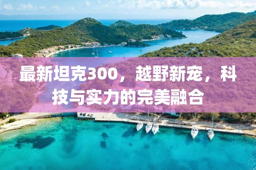 最新坦克300，越野新宠，科技与实力的完美融合