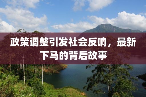 政策调整引发社会反响，最新下马的背后故事