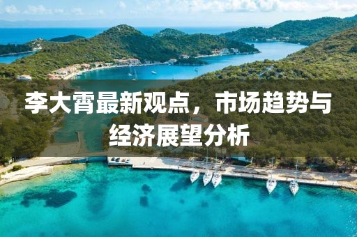 李大霄最新观点，市场趋势与经济展望分析