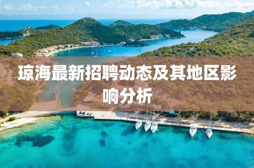 琼海最新招聘动态及其地区影响分析