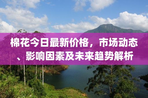 棉花今日最新价格，市场动态、影响因素及未来趋势解析