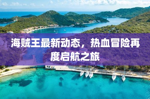 海贼王最新动态，热血冒险再度启航之旅