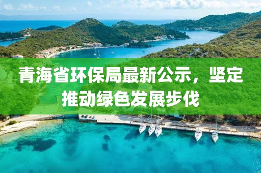 青海省环保局最新公示，坚定推动绿色发展步伐