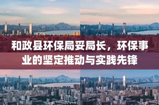 和政县环保局妥局长，环保事业的坚定推动与实践先锋