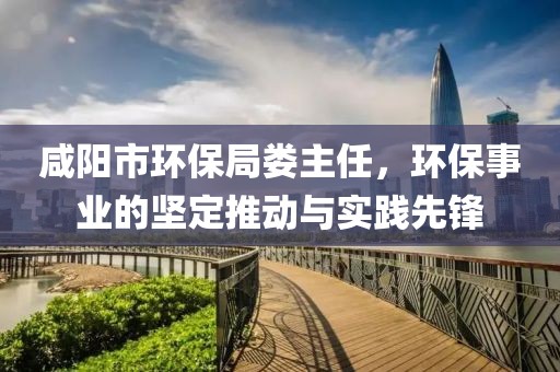 咸阳市环保局娄主任，环保事业的坚定推动与实践先锋