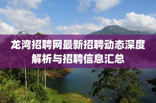 龙湾招聘网最新招聘动态深度解析与招聘信息汇总