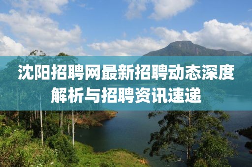 沈阳招聘网最新招聘动态深度解析与招聘资讯速递