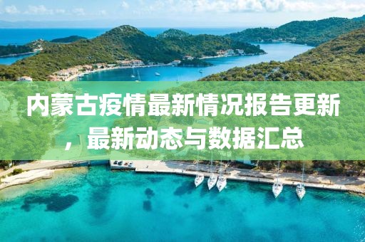 内蒙古疫情最新情况报告更新，最新动态与数据汇总