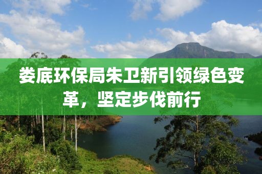 娄底环保局朱卫新引领绿色变革，坚定步伐前行