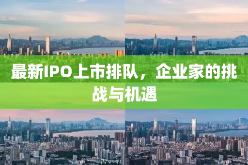 最新IPO上市排队，企业家的挑战与机遇