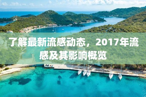 了解最新流感动态，2017年流感及其影响概览