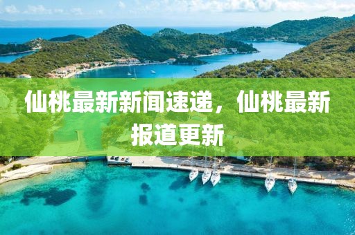 仙桃最新新闻速递，仙桃最新报道更新