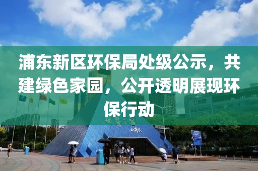 浦东新区环保局处级公示，共建绿色家园，公开透明展现环保行动