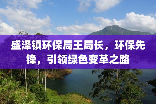 盛泽镇环保局王局长，环保先锋，引领绿色变革之路