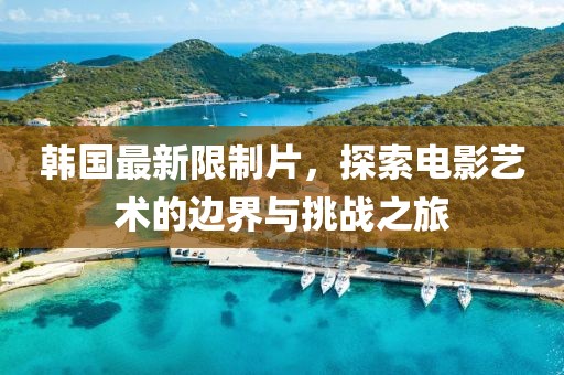 韩国最新限制片，探索电影艺术的边界与挑战之旅