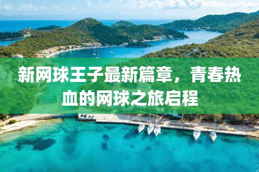 新网球王子最新篇章，青春热血的网球之旅启程