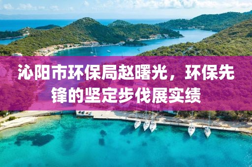 沁阳市环保局赵曙光，环保先锋的坚定步伐展实绩