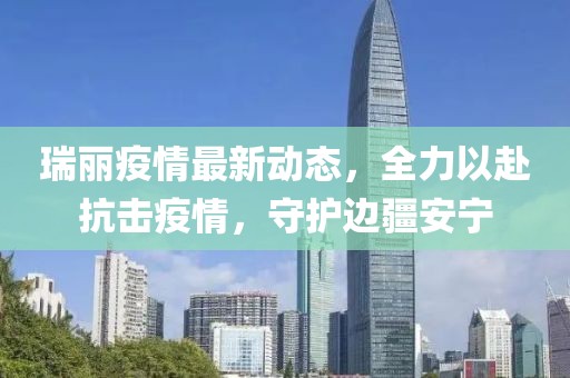 瑞丽疫情最新动态，全力以赴抗击疫情，守护边疆安宁