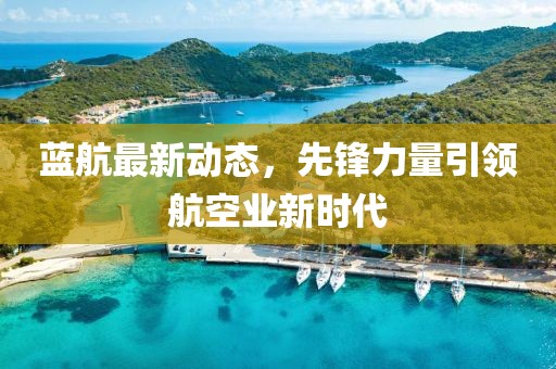 蓝航最新动态，先锋力量引领航空业新时代