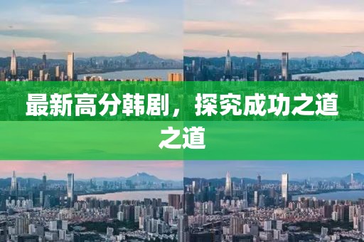 最新高分韩剧，探究成功之道之道