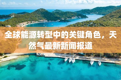 全球能源转型中的关键角色，天然气最新新闻报道