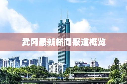 武冈最新新闻报道概览