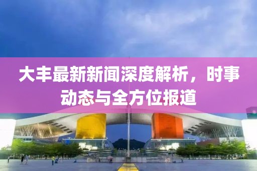 大丰最新新闻深度解析，时事动态与全方位报道