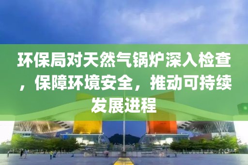 环保局对天然气锅炉深入检查，保障环境安全，推动可持续发展进程