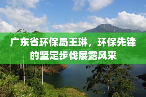 广东省环保局王琳，环保先锋的坚定步伐展露风采