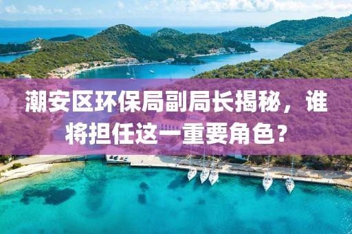 潮安区环保局副局长揭秘，谁将担任这一重要角色？