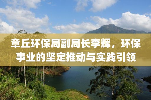 章丘环保局副局长李辉，环保事业的坚定推动与实践引领