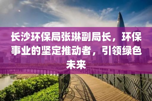 长沙环保局张琳副局长，环保事业的坚定推动者，引领绿色未来