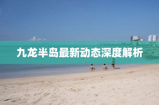 九龙半岛最新动态深度解析