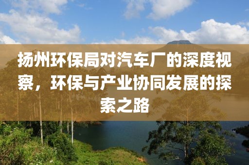 扬州环保局对汽车厂的深度视察，环保与产业协同发展的探索之路