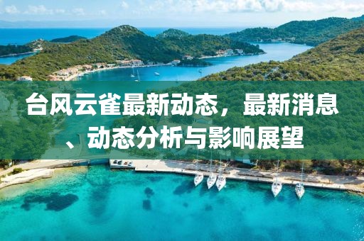 台风云雀最新动态，最新消息、动态分析与影响展望