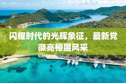 闪耀时代的光辉象征，最新党徽亮相展风采