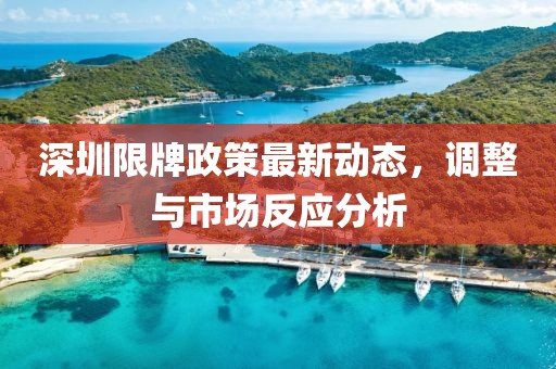 深圳限牌政策最新动态，调整与市场反应分析