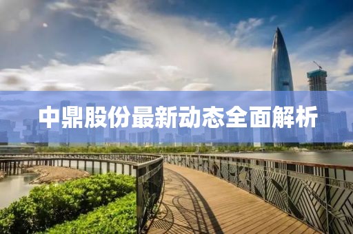 中鼎股份最新动态全面解析