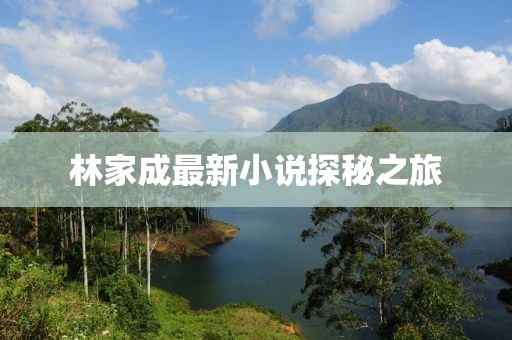 林家成最新小说探秘之旅