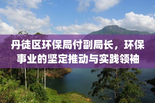 丹徒区环保局付副局长，环保事业的坚定推动与实践领袖