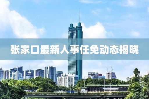 张家口最新人事任免动态揭晓