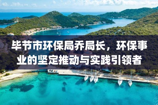 毕节市环保局乔局长，环保事业的坚定推动与实践引领者