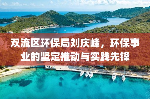 双流区环保局刘庆峰，环保事业的坚定推动与实践先锋