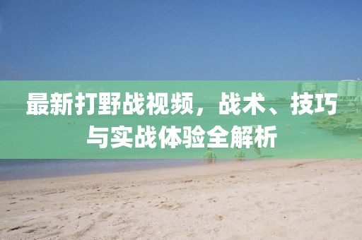 最新打野战视频，战术、技巧与实战体验全解析