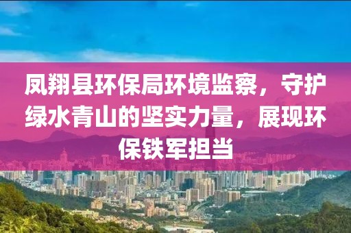 凤翔县环保局环境监察，守护绿水青山的坚实力量，展现环保铁军担当