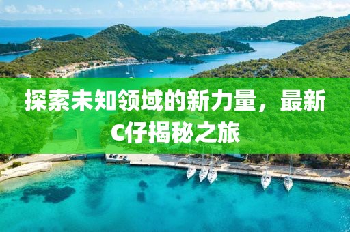 探索未知领域的新力量，最新C仔揭秘之旅