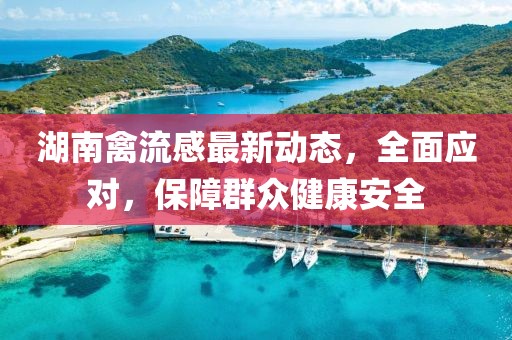 湖南禽流感最新动态，全面应对，保障群众健康安全