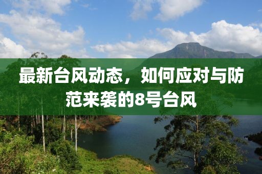 最新台风动态，如何应对与防范来袭的8号台风