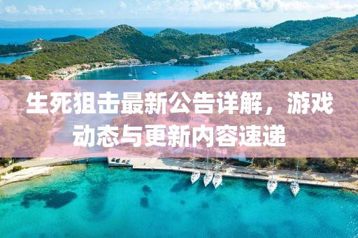 生死狙击最新公告详解，游戏动态与更新内容速递